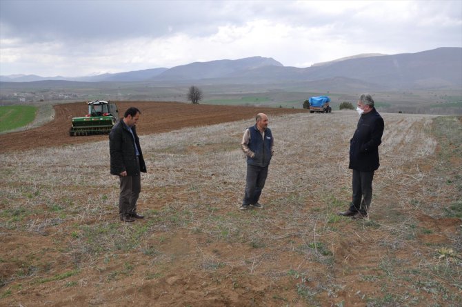 Gümüşhane'de üreticilere 160 ton yem bitkisi tohumu dağıtıldı