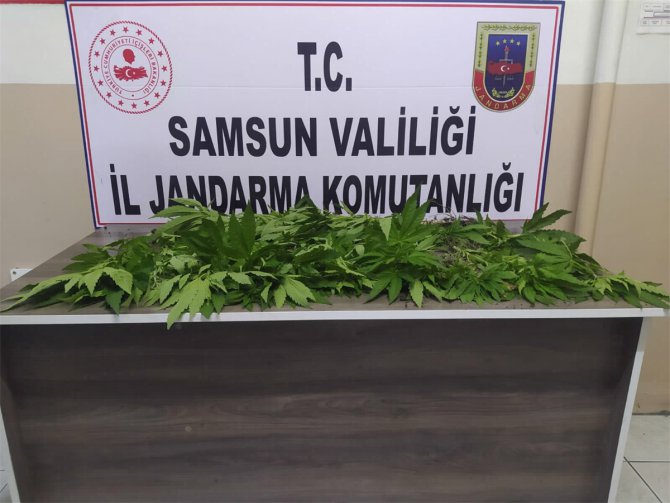Samsun'daki uyuşturucu operasyonlarında gözaltına alınanlardan 2'si tutuklandı