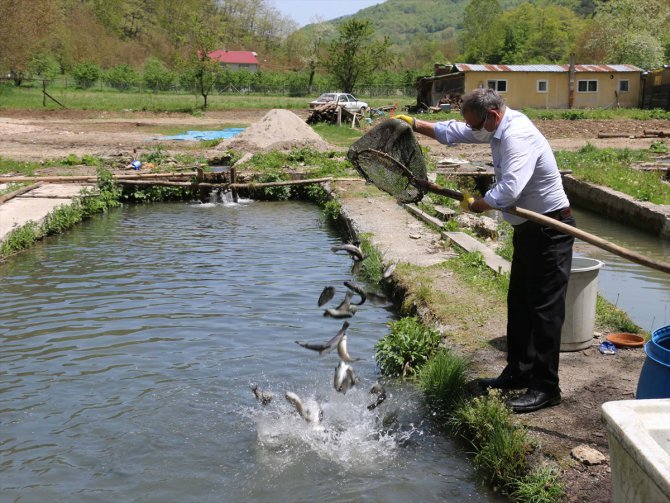 Bolu'da sağlık çalışanlarına alabalık ikramı