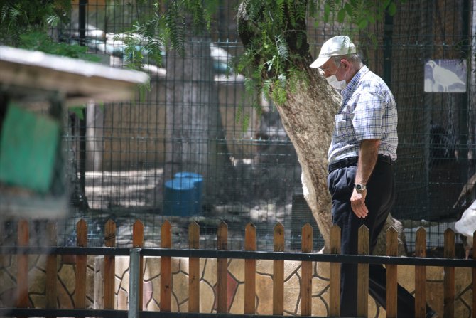 Doğu Akdeniz'de 65 yaş ve üzeri vatandaşlar yeniden sokağa çıktı