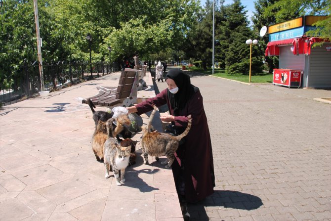 Doğu Marmara ve Batı Karadeniz'de 65 yaş ve üstü vatandaşlar sokağın tadını çıkardı