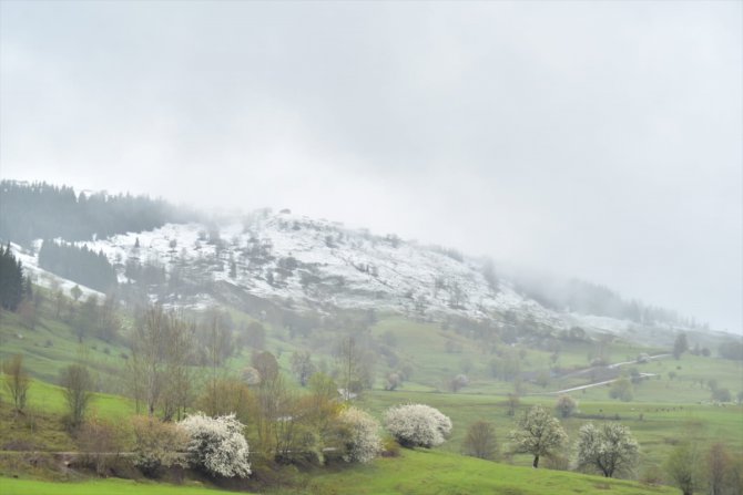 Artvin'de yüksek kesimler beyaza büründü