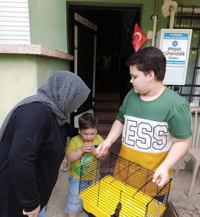 CİMER'e yazarak tavşan isteyen kardeşlerin talebi yerine getirildi