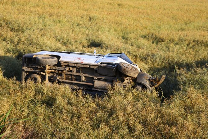 Tekirdağ'da minibüs tarlaya devrildi: 7 yaralı