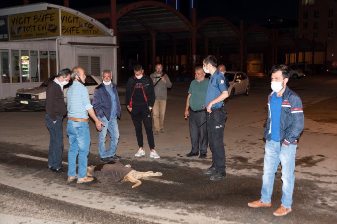 Ankara'da otomobilin çarptığı köpek için vatandaşlar seferber oldu