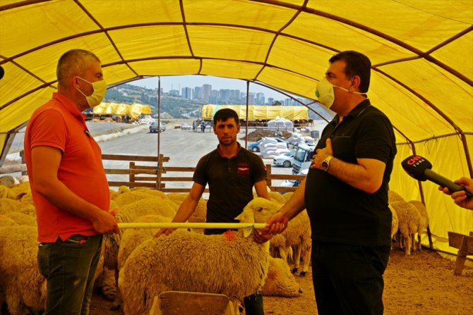 TÜDKİYEB Genel Başkanı Çelik, kurban satış alanında açıklamalarda bulundu: