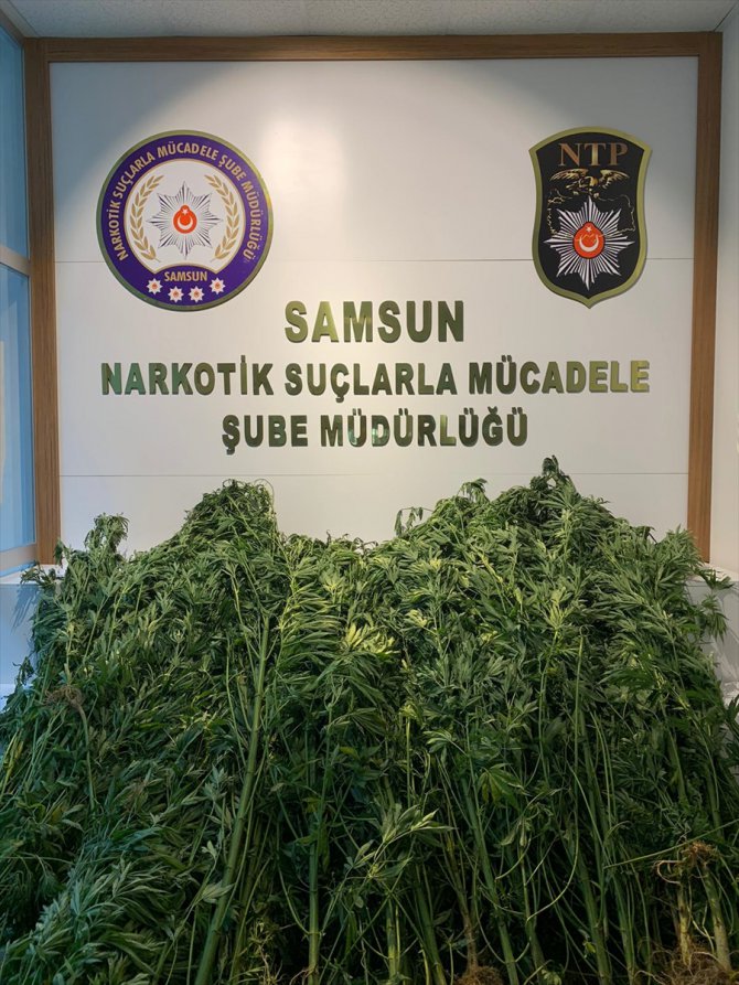 Samsun'da uyuşturucu operasyonlarında 5 şüpheli yakalandı
