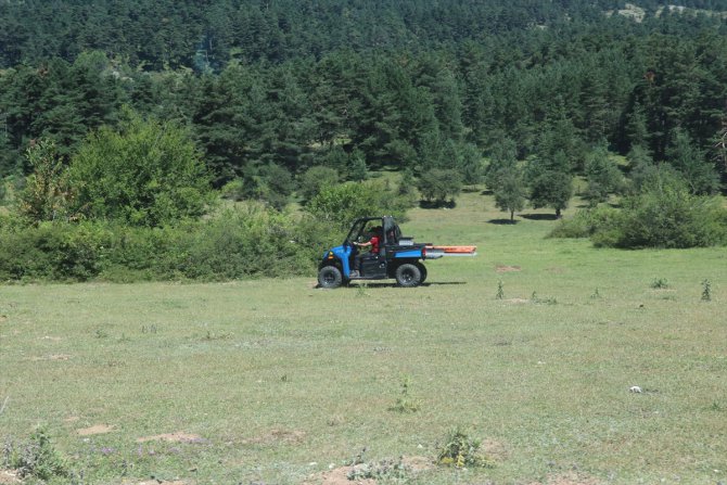 Abant ve Yedigöller'de JAK Timi göreve başladı