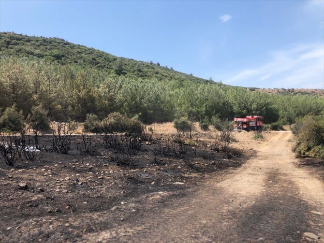 GÜNCELLEME - Çanakkale'de tarım arazisinde çıkan yangın kontrol altına alındı