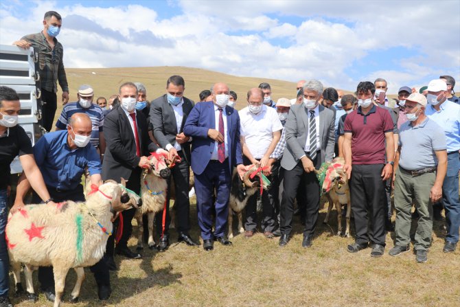 Erzincan'da koç katım şenliği düzenlendi