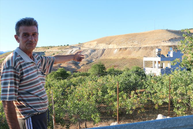 Siirt'te fıstık üreticileri hırsızlara karşı nöbet tutuyor