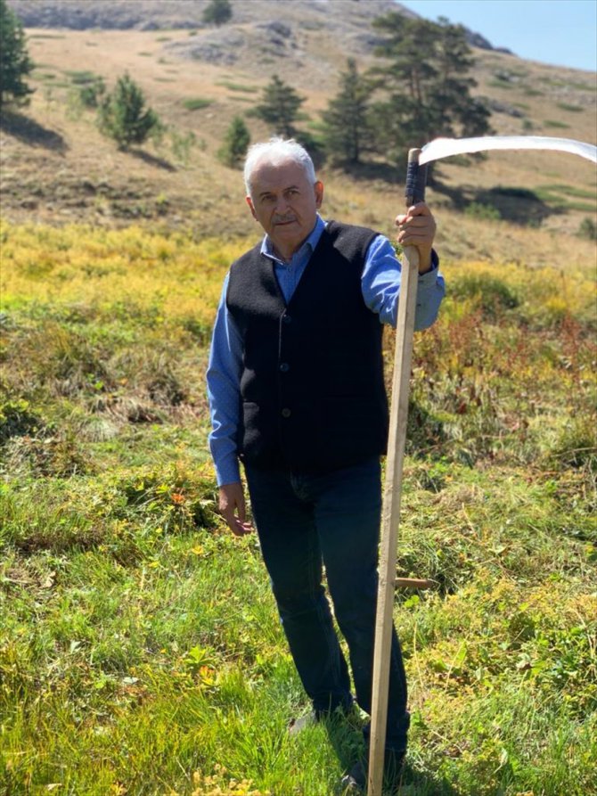 Binali Yıldırım doğa tutkunlarını Dumanlı Yaylası’na davet etti