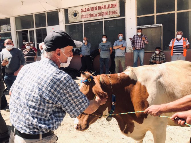 Tarım ve Orman Bakanı Pakdemirli, selde ineği telef olan vatandaşa inek verdi