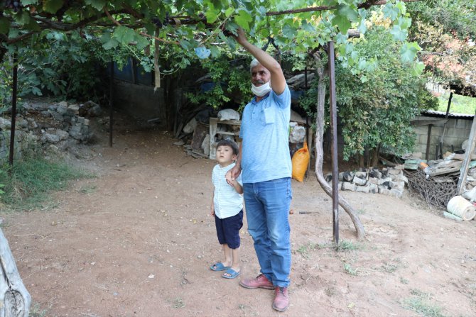 Siirtli aile dağa götürülen çocuklarının yolunu 6 yıldır gözlüyor