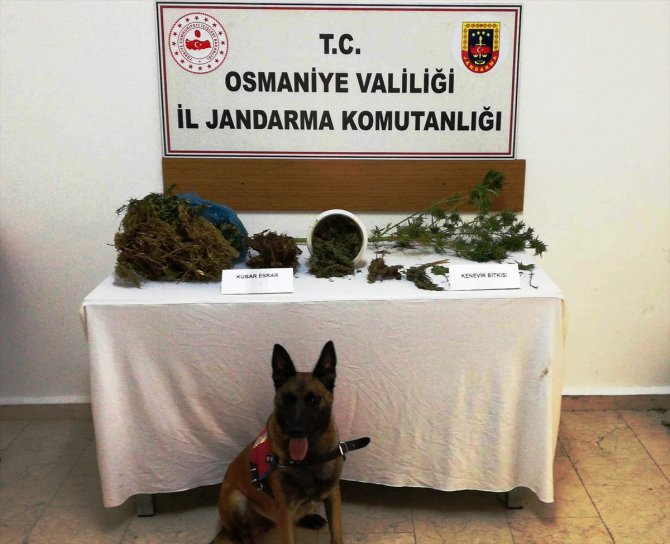 Osmaniye'de uyuşturucu operasyonunda bir kişi tutuklandı