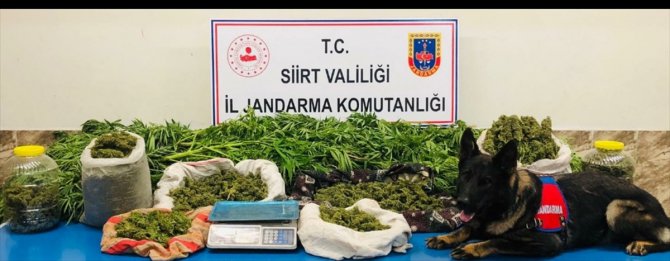 Siirt'te bahçesinde uyuşturucu ele geçirilen zanlı tutuklandı