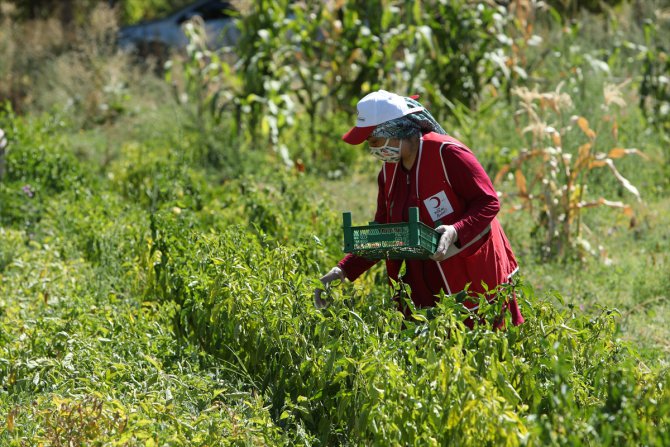 Türk Kızılay, kadın yükümlü ve gönüllülerin ürettiklerini ihtiyaç sahiplerine ulaştırıyor