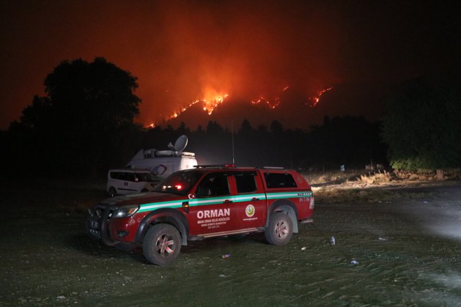 Adana'daki orman yangınına müdahale devam ediyor
