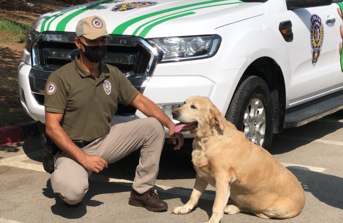 "Çevre, Doğa ve Hayvanları Koruma" polisleri Adana'da göreve başladı