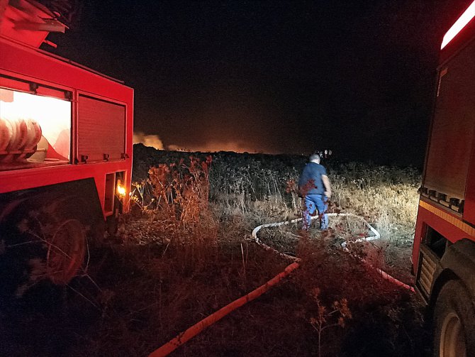 Sinop'ta çıkan orman yangını söndürüldü