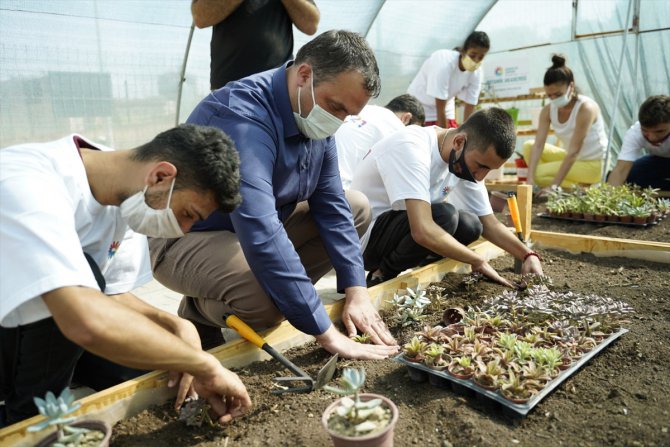 Hatay'da "Medeniyetler Bahçesi" temalı EXPO 2021 için bitki yetiştirilmeye başlandı