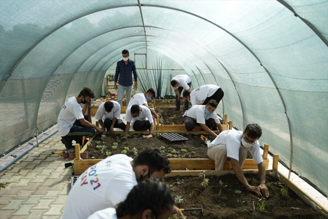 Hatay'da "Medeniyetler Bahçesi" temalı EXPO 2021 için bitki yetiştirilmeye başlandı