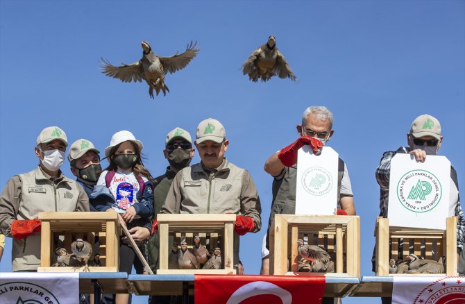 Bakan Pakdemirli rehabilite edilen yaban hayvanlarını doğaya bıraktı: