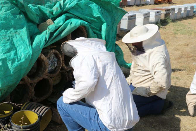 Herekol Dağı eteklerinde huzur ortamında bal üretimi yapılıyor