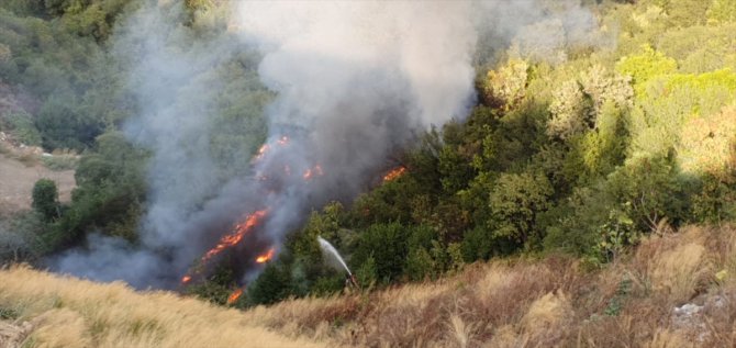 GÜNCELLEME - Bursa'daki orman yangını kontrol altına alındı