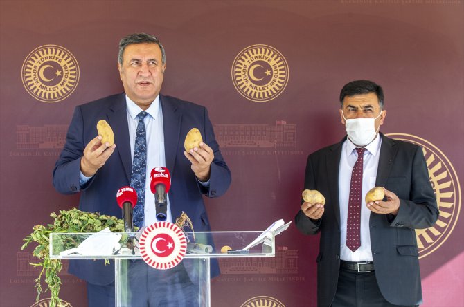 CHP'li Gürer: "Patatesle ilgili doğru politikalar oluşturulsun"