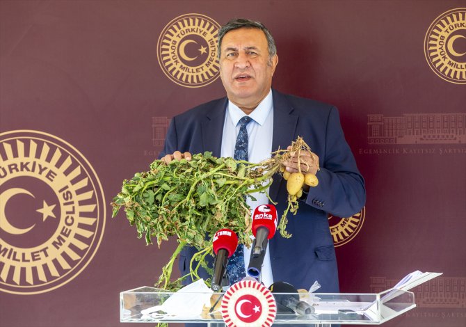 CHP'li Gürer: "Patatesle ilgili doğru politikalar oluşturulsun"