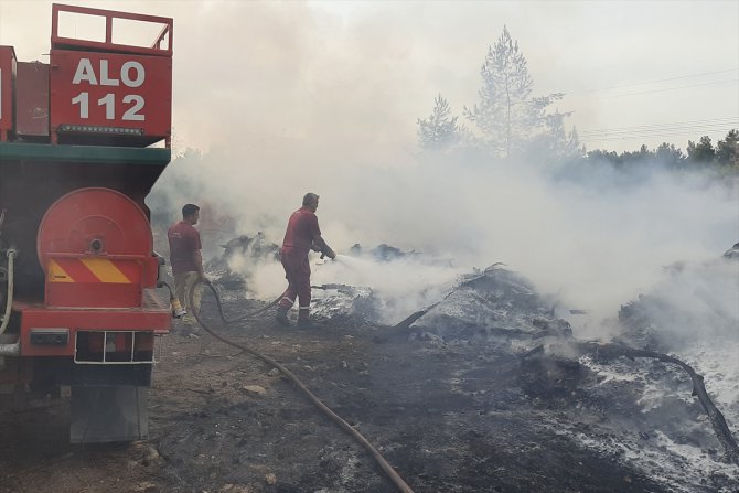 İzmir'de ormanlık alanda çıkan yangın söndürüldü