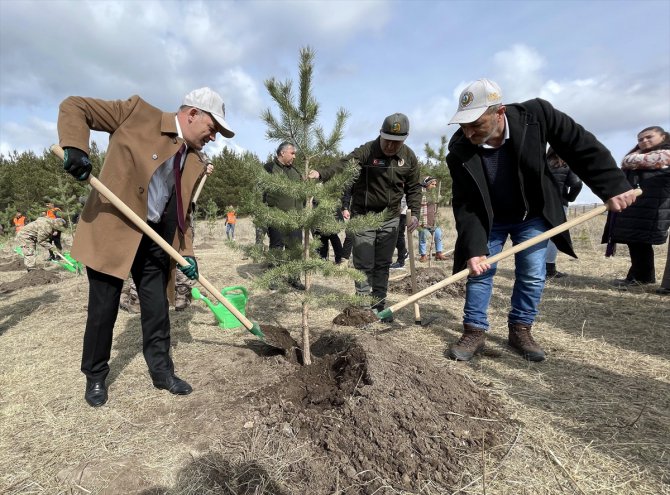 Ardahan'da depremde hayatını kaybedenler anısına hatıra ormanı oluşturuldu