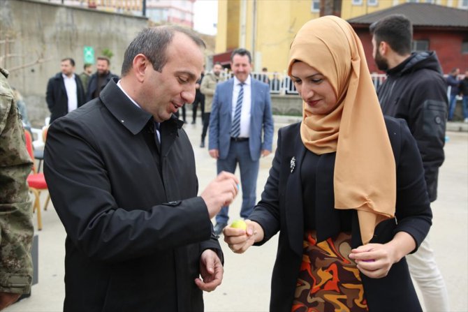 Siirt ve Şırnak'ta nevruz kutlamaları yapıldı