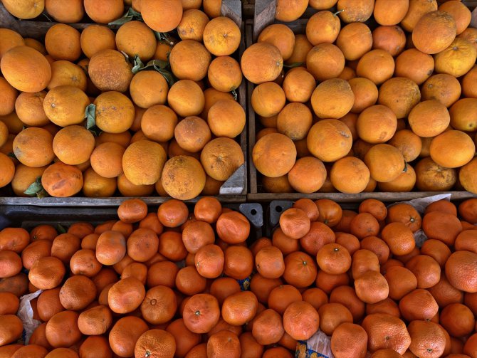 Narenciye ihracatında yılın ilk çeyreğini mandalina ve limon sırtladı