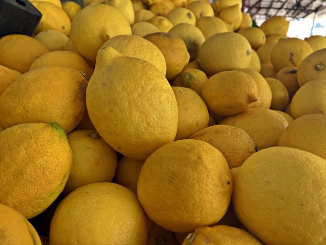 Narenciye ihracatında yılın ilk çeyreğini mandalina ve limon sırtladı