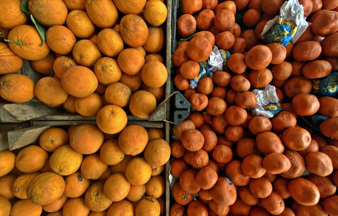 Narenciye ihracatında yılın ilk çeyreğini mandalina ve limon sırtladı