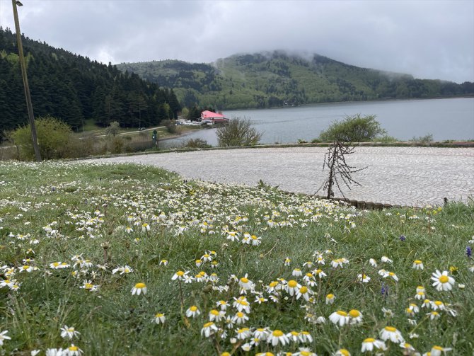 Doğaseverler "19 Mayıs" tatilinde Abant'ı gezdi