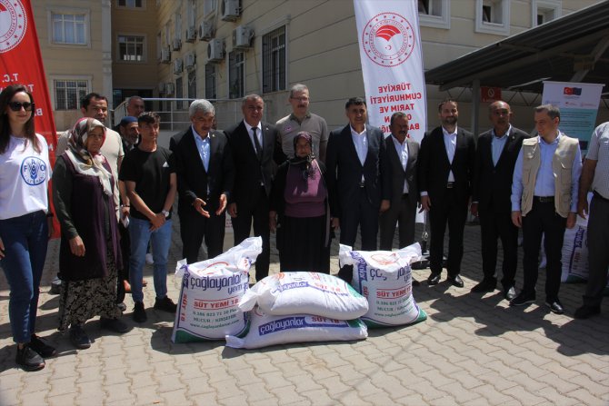 Kilis'te depremzede hayvan yetiştiricilerine yem desteği