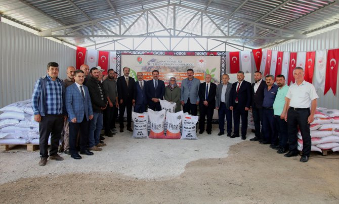 Amasya'da çiftçilere 60 ton Macar fiği ve yem bezelyesi tohumu dağıtıldı