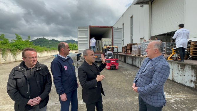 Ordu'daki bal paketleme tesisinden bu yıl 1000 ton bal ihracatı hedefleniyor