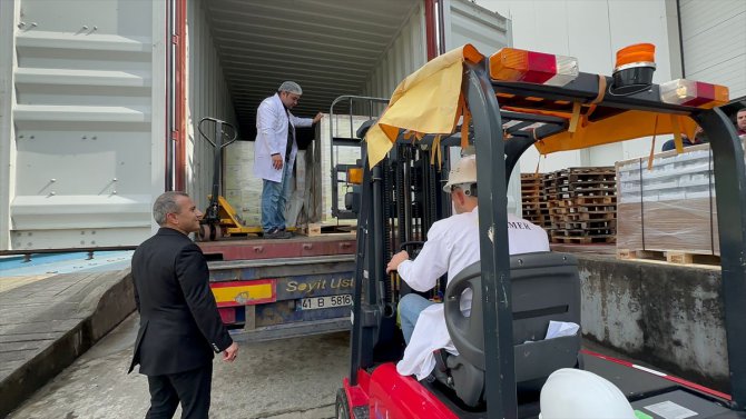 Ordu'daki bal paketleme tesisinden bu yıl 1000 ton bal ihracatı hedefleniyor