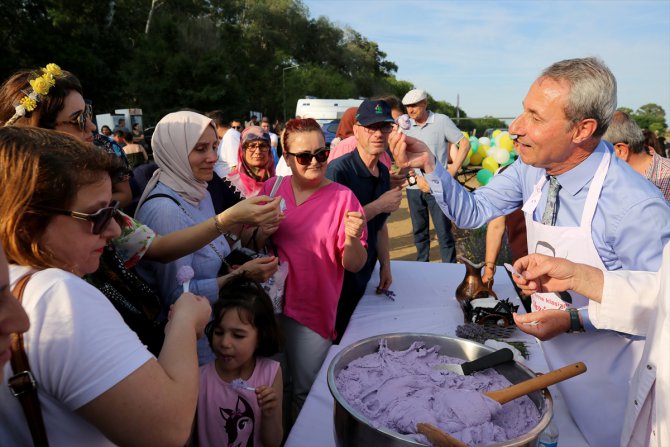 Edirne'de lavanta tarlasını ziyaret edenlere, lavantalı Osmanlı helvası ikramında bulunuldu