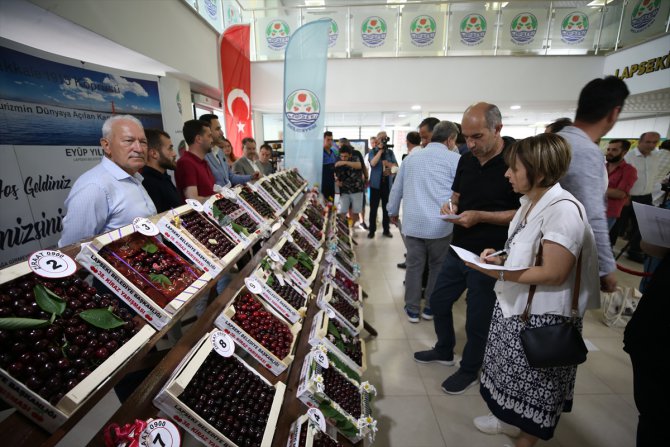 Lapseki Belediyesi 38. Geleneksel Kiraz Festivali'nde üreticiler yarıştı