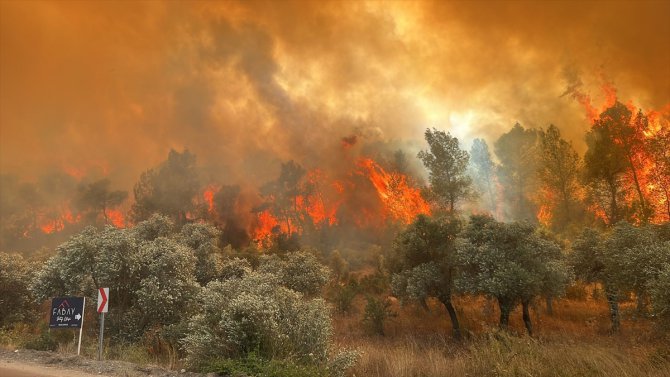 Muğla'da ormanlık alanda çıkan yangına müdahale ediliyor
